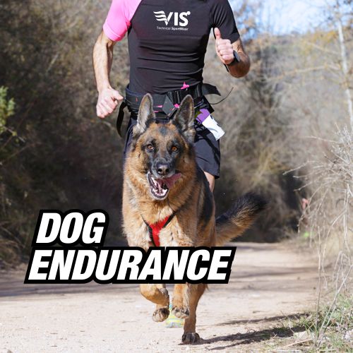 CANICROSS- DOG ENDURANCE