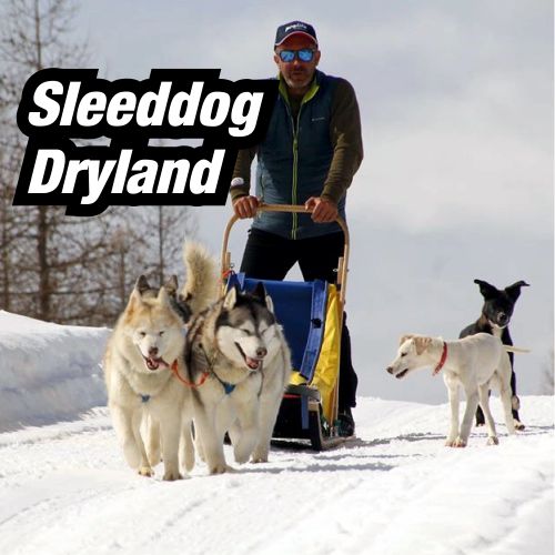 Sleeddog-Dryland