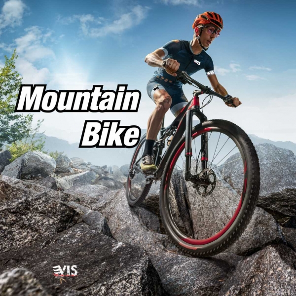 Mountain bike